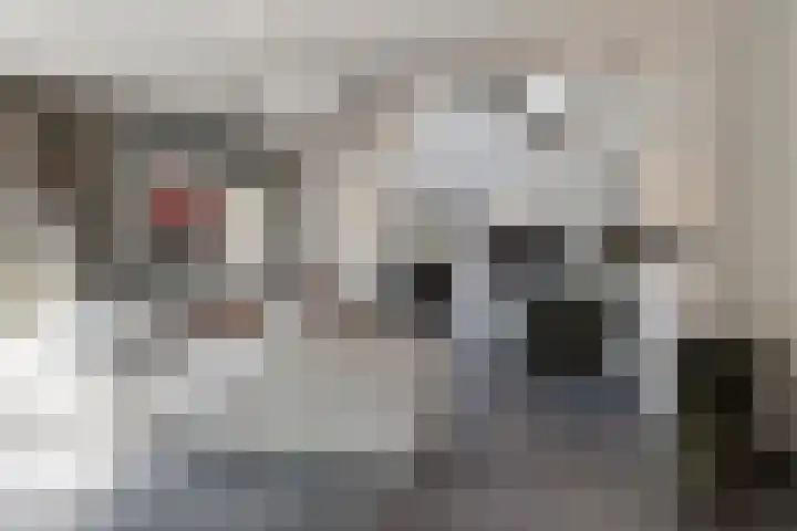 Beversingel 10 Culemborg thumbnail 9