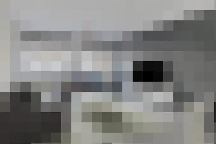 Beverstraat 128 Rotterdam thumbnail 9