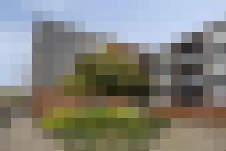 Beverstraat 152 in Rotterdam