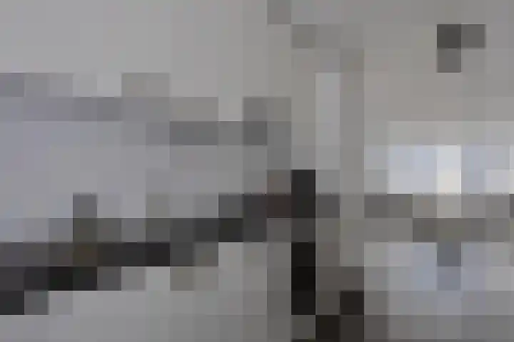 Beverstraat 170 Rotterdam thumbnail 14