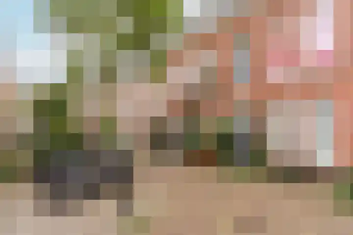 Beverstraat 21 Utrecht thumbnail 30