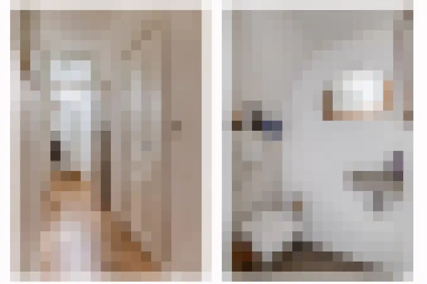 Beverstraat 35 Utrecht thumbnail 12