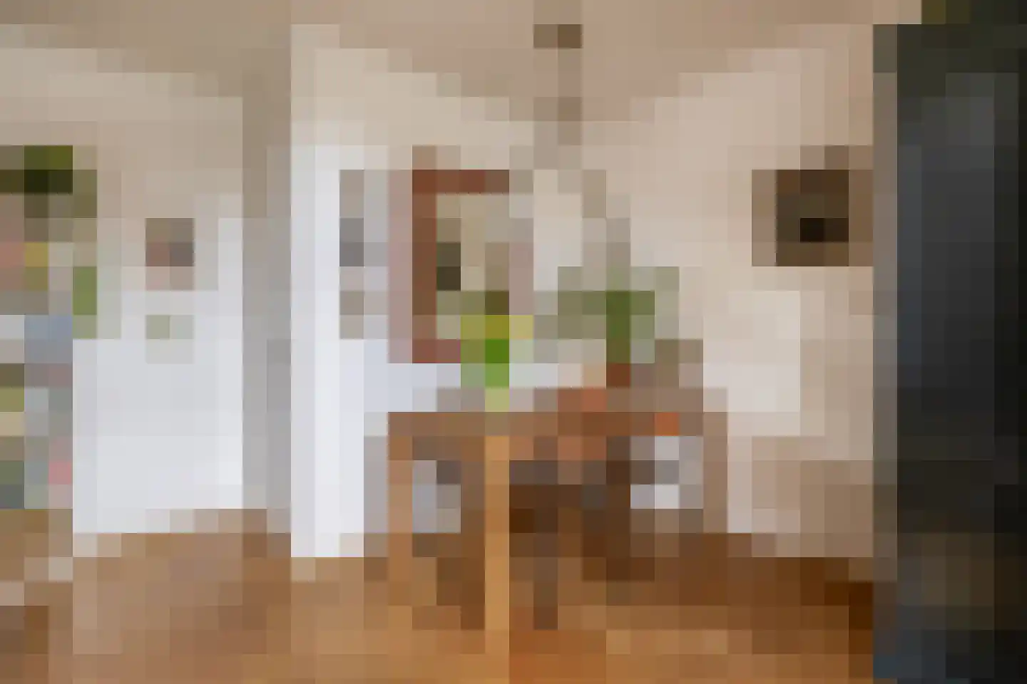 Beverstraat 35 Utrecht thumbnail 19