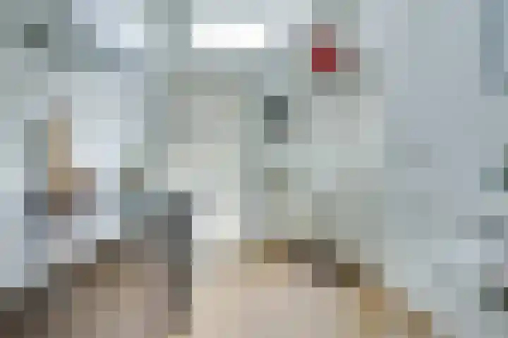 Beverstraat 35 Utrecht thumbnail 33