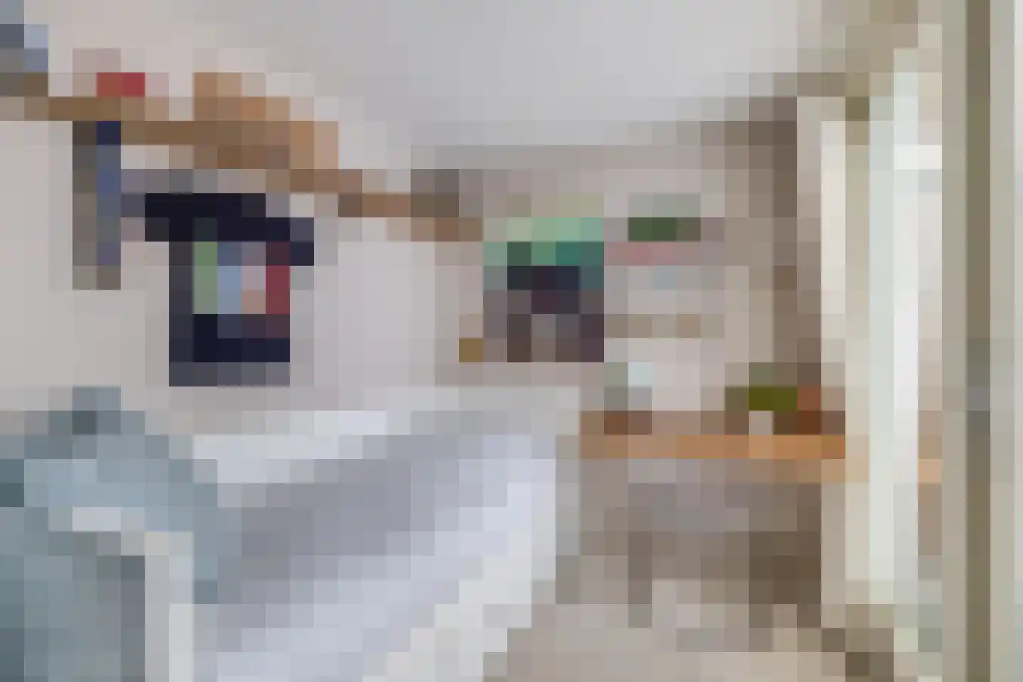 Beverstraat 35 Utrecht thumbnail 33
