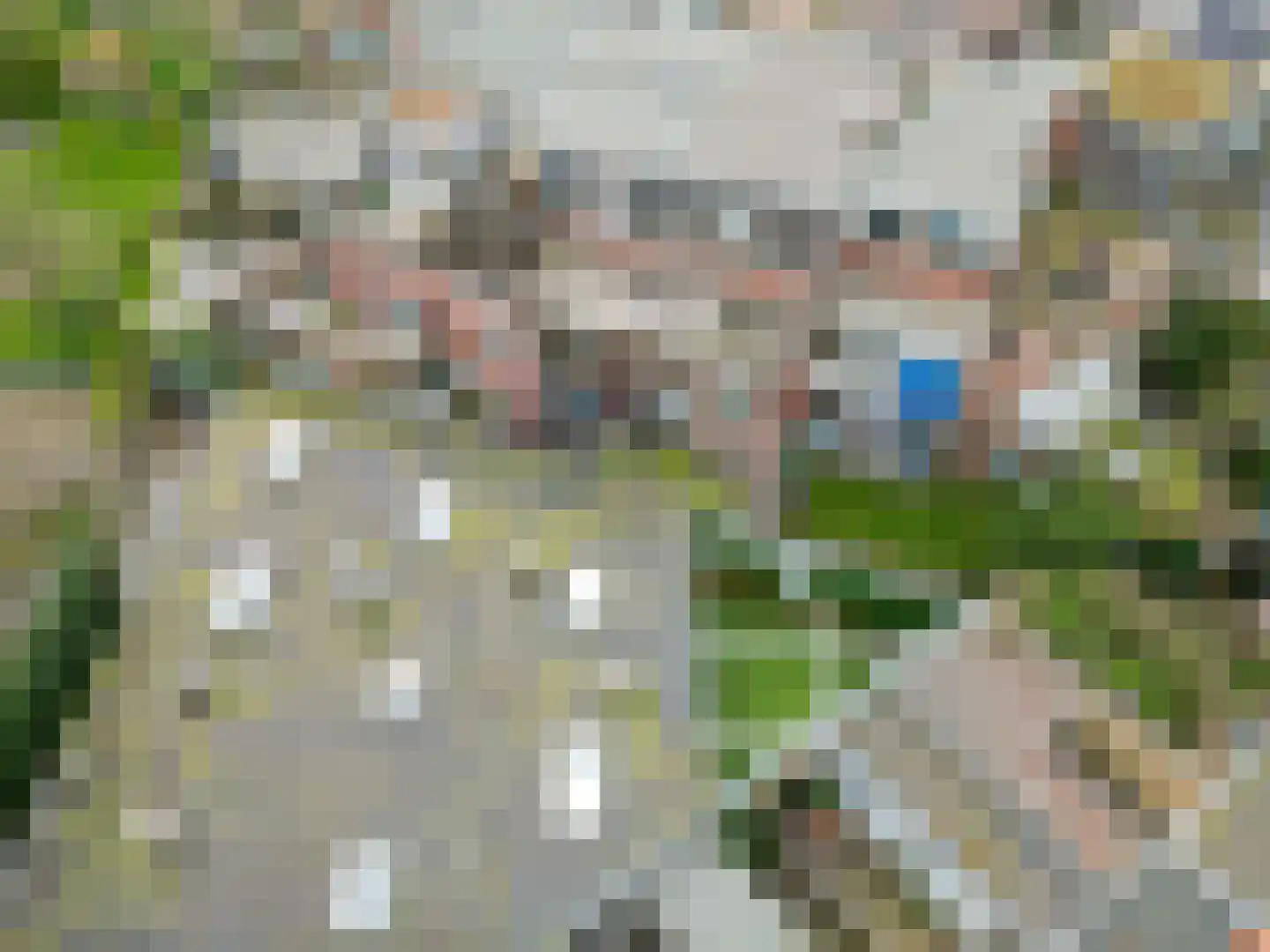 Beverstraat 35 Utrecht thumbnail 40