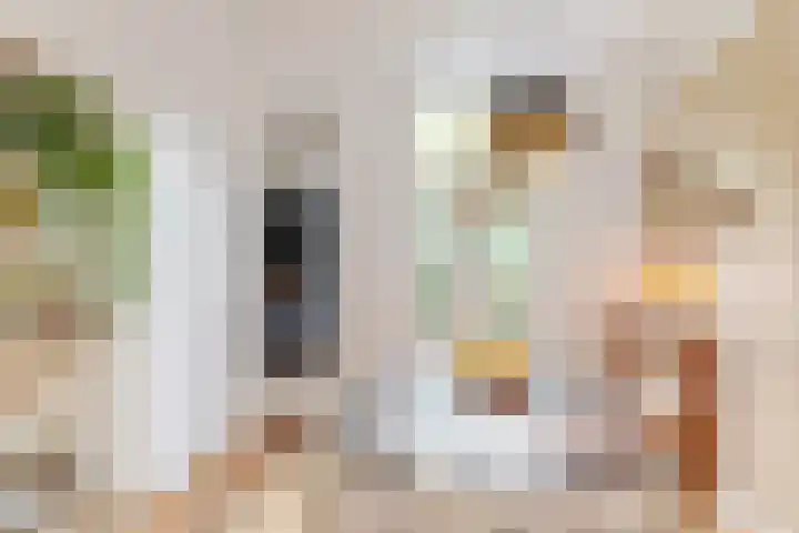 Beverstraat 42 Utrecht thumbnail 9