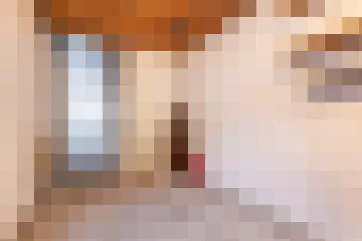 Beverstraat 53 Utrecht thumbnail 30