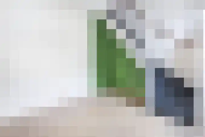 Beverstraat 53 Utrecht thumbnail 8