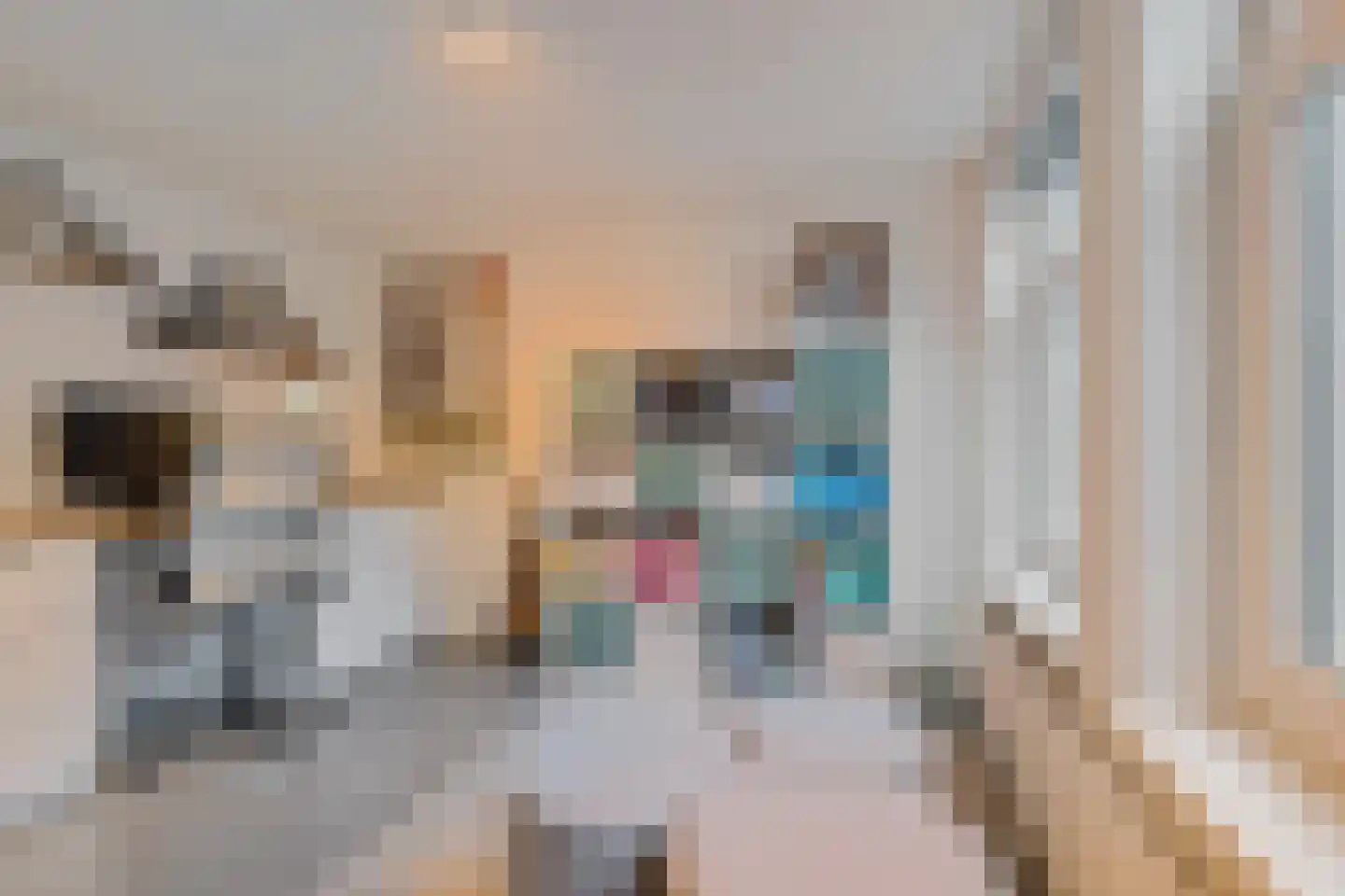 Beverstraat 6 Utrecht thumbnail 17