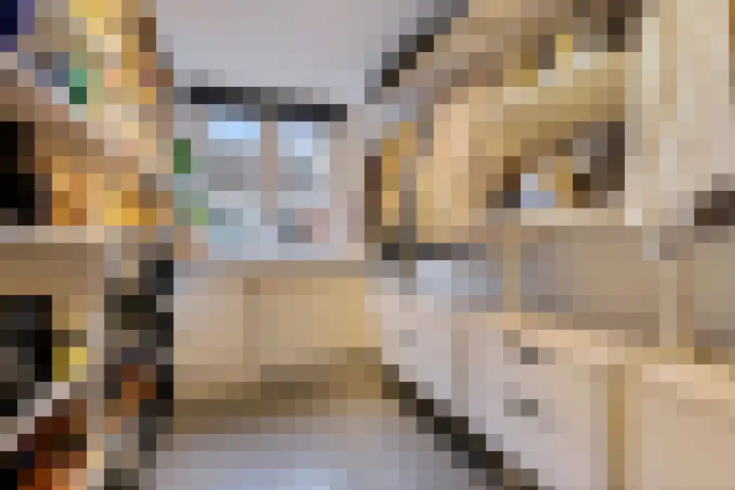 Beverstraat 6 Utrecht thumbnail 21