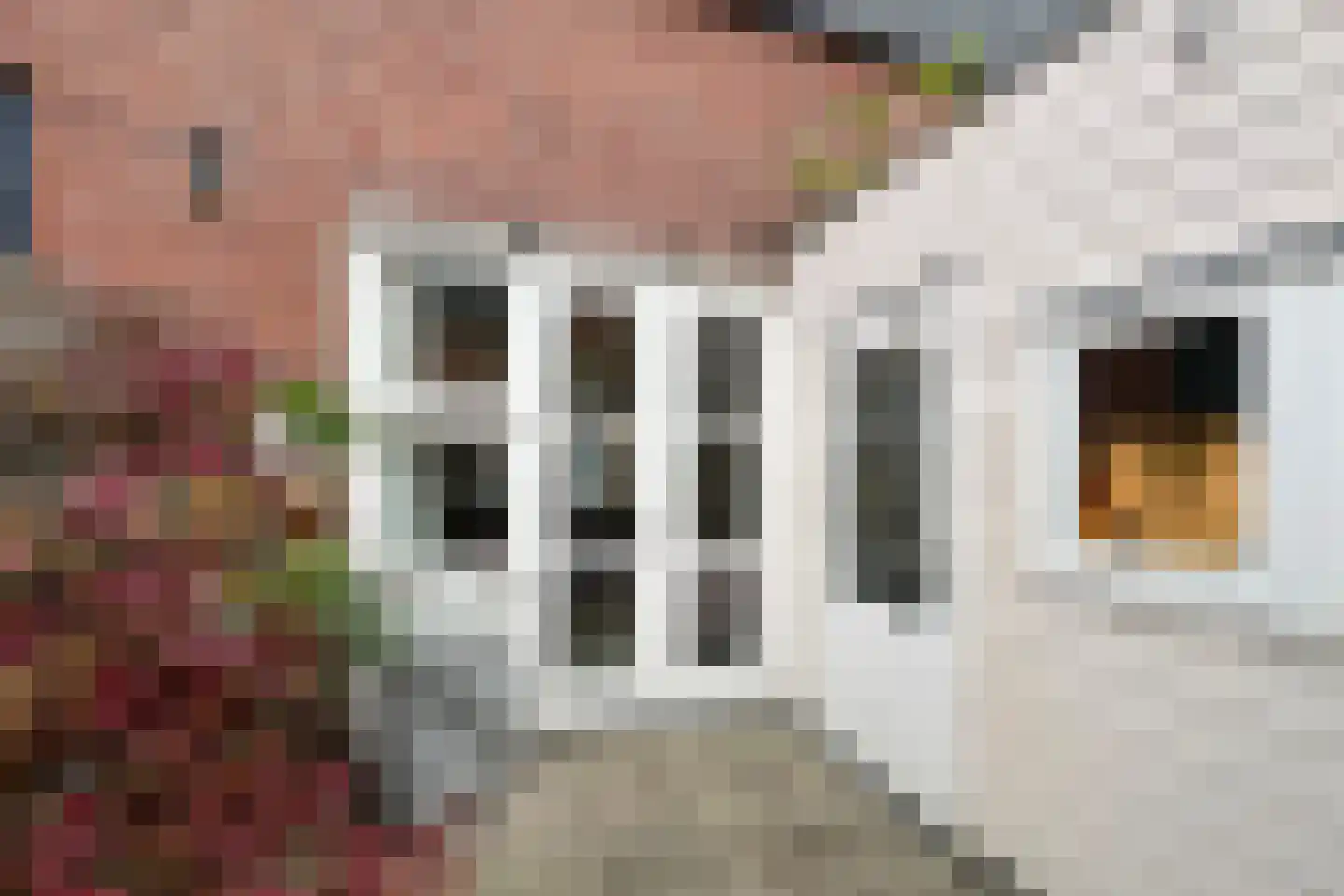 Beverstraat 6 Utrecht thumbnail 31