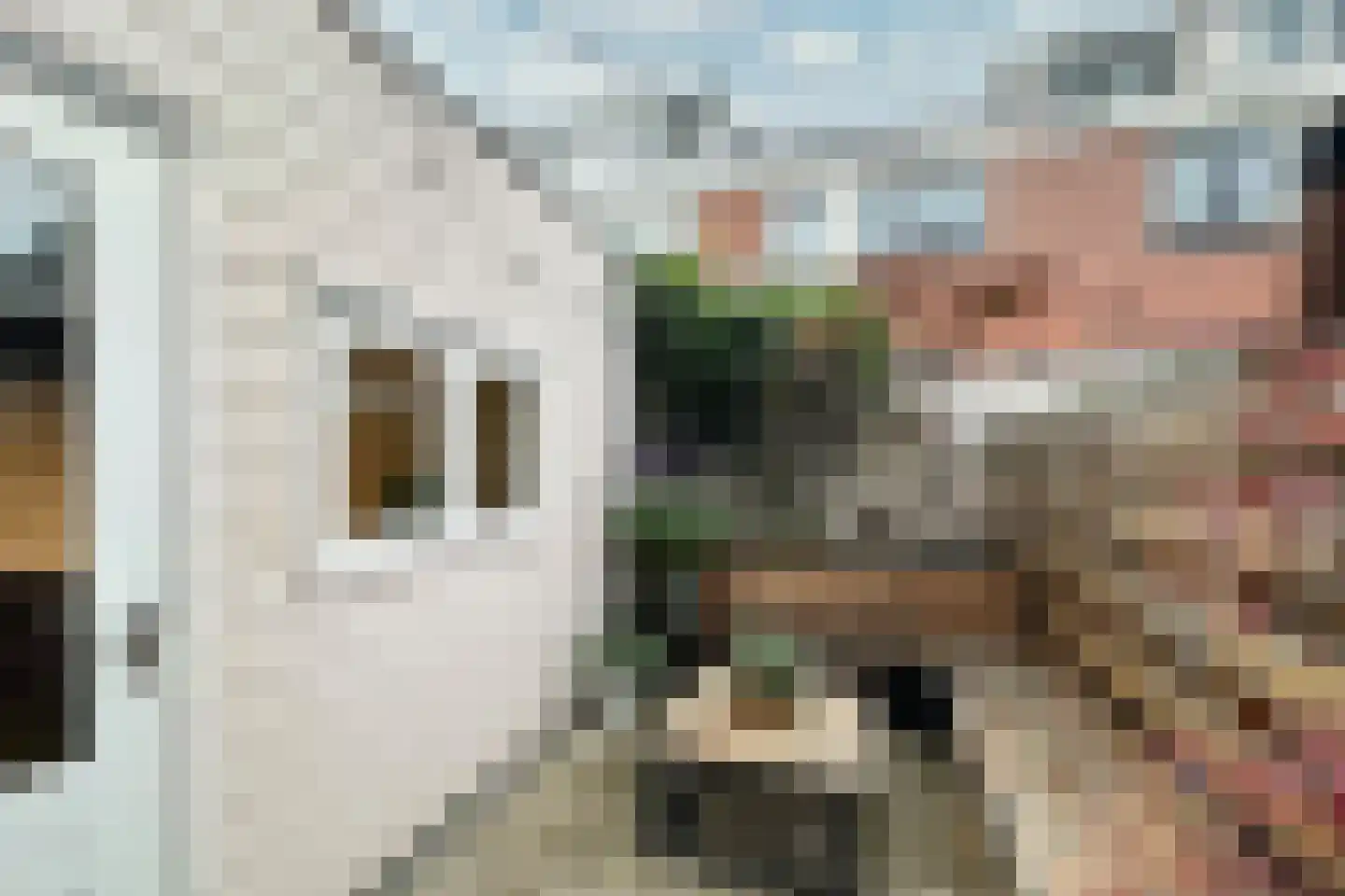 Beverstraat 6 Utrecht thumbnail 32