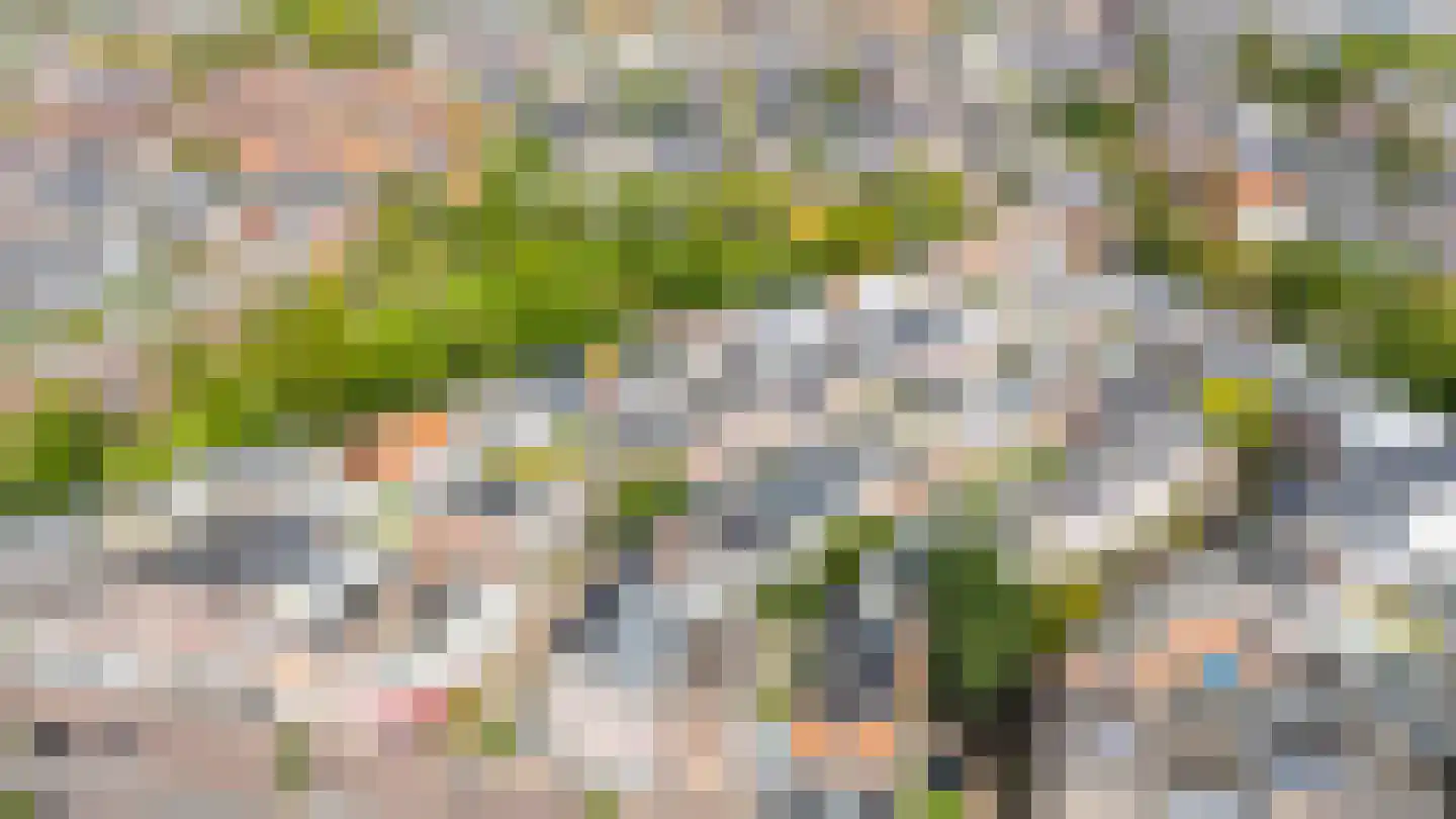 Beverstraat 67 B Utrecht thumbnail 41