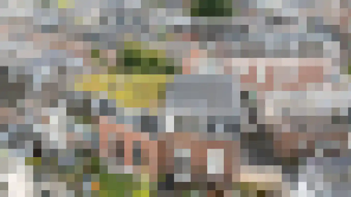 Beverstraat 67 B Utrecht thumbnail 43