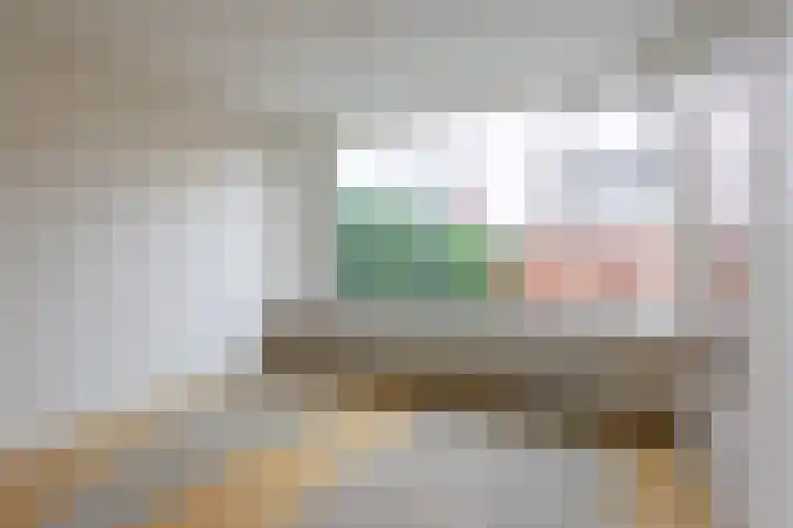 Bevert 64 Vroomshoop thumbnail 10