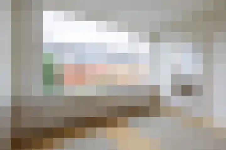 Bevert 64 Vroomshoop thumbnail 11