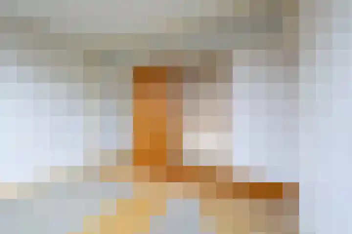 Bevert 64 Vroomshoop thumbnail 12