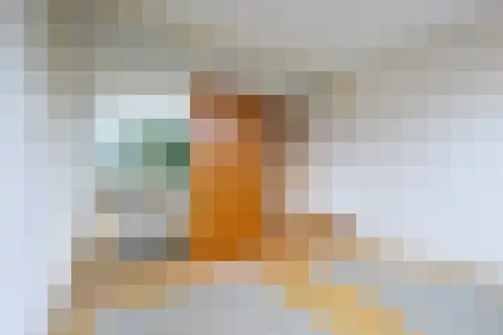 Bevert 64 Vroomshoop thumbnail 13