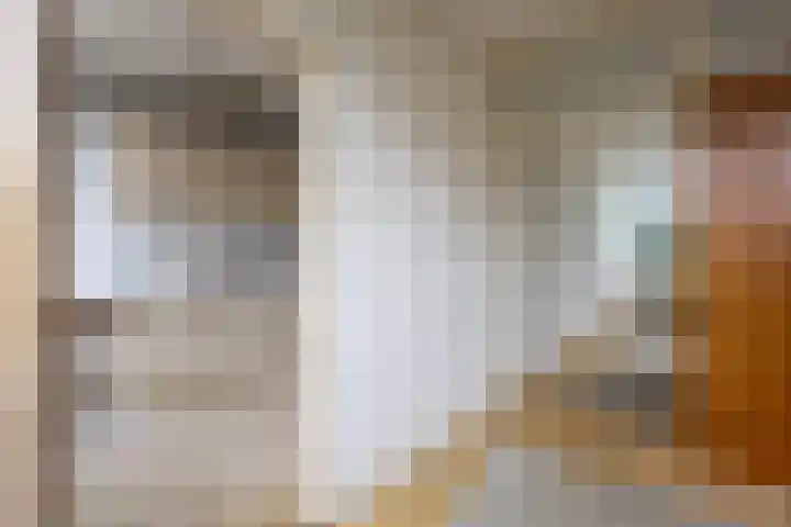Bevert 64 Vroomshoop thumbnail 14