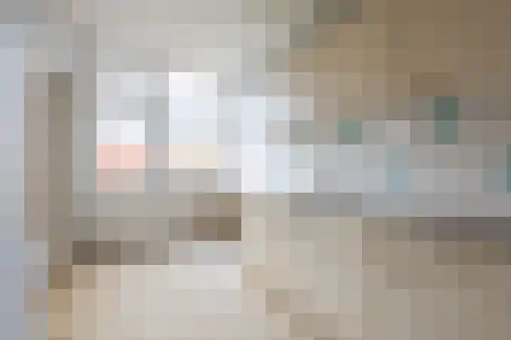 Bevert 64 Vroomshoop thumbnail 16