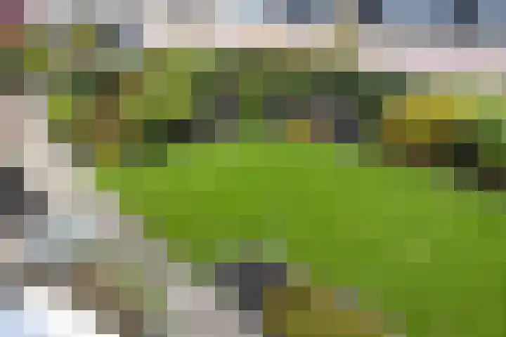 Bevert 64 Vroomshoop thumbnail 17