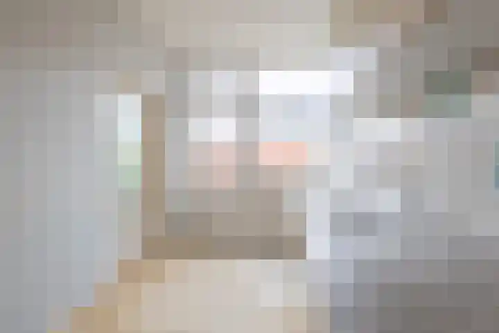 Bevert 64 Vroomshoop thumbnail 17