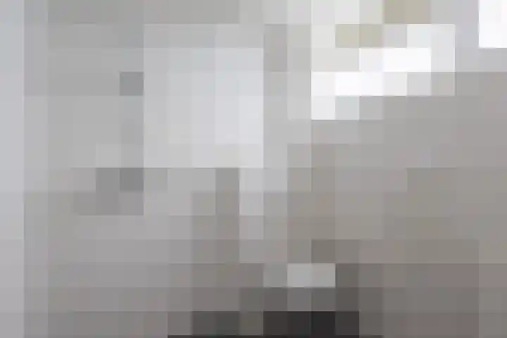 Bevert 64 Vroomshoop thumbnail 18