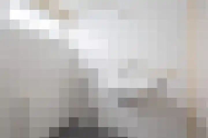 Bevert 64 Vroomshoop thumbnail 19