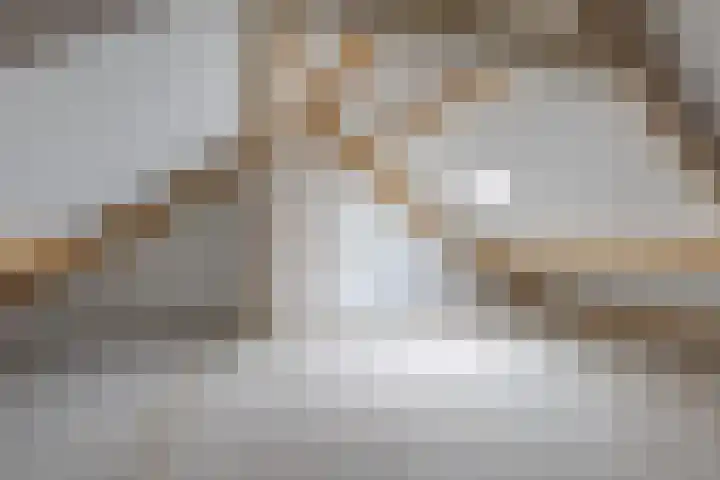 Bevert 64 Vroomshoop thumbnail 21