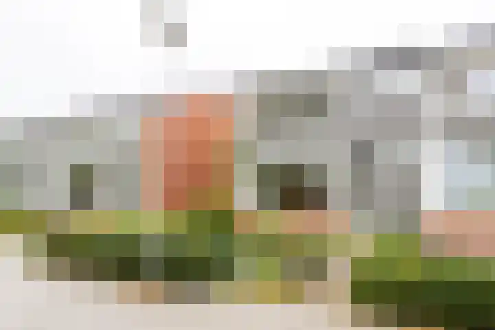 Bevert 64 Vroomshoop thumbnail 23