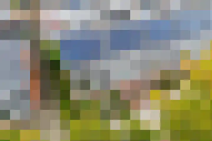 Bevert 64 Vroomshoop thumbnail 24