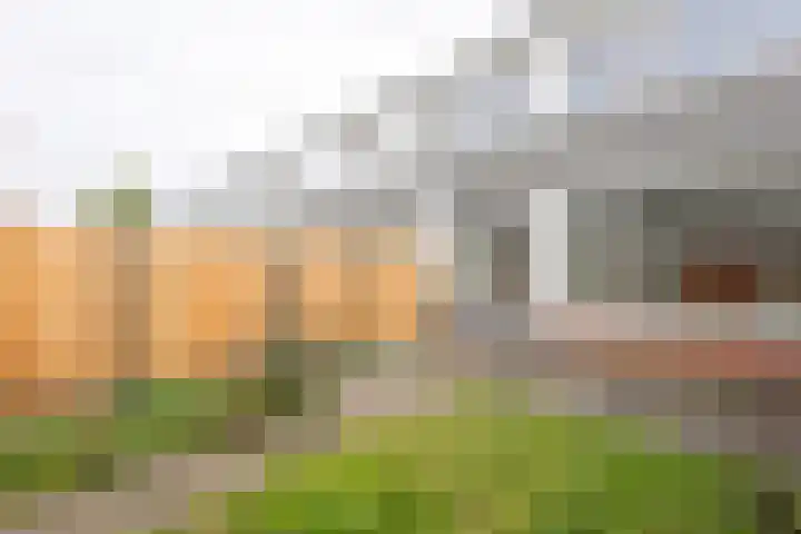 Bevert 64 Vroomshoop thumbnail 26