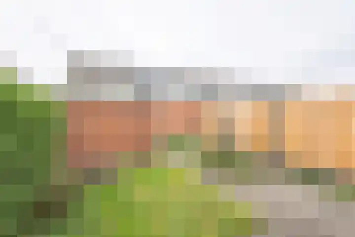 Bevert 64 Vroomshoop thumbnail 27