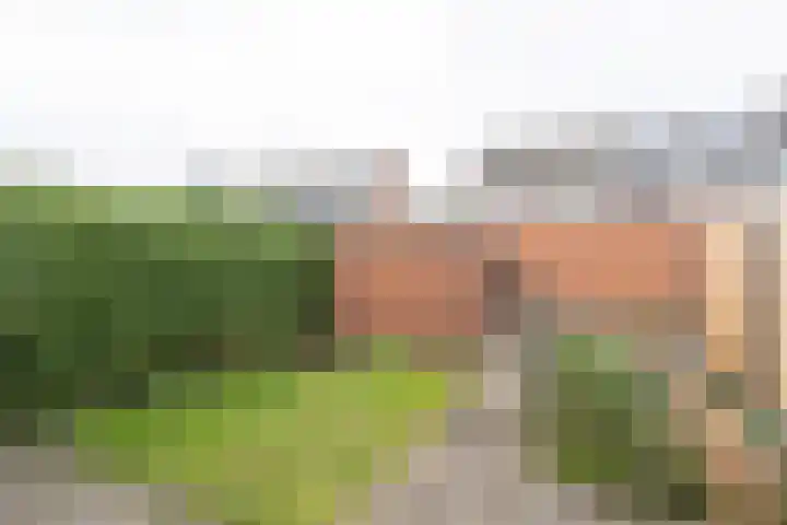 Bevert 64 Vroomshoop thumbnail 28