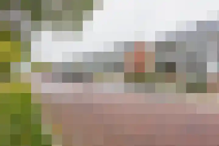Bevert 64 Vroomshoop thumbnail 30