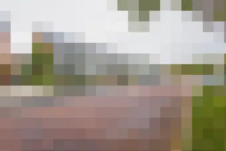 Bevert 64 Vroomshoop thumbnail 31
