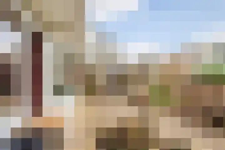 Bevert 64 Vroomshoop thumbnail 37