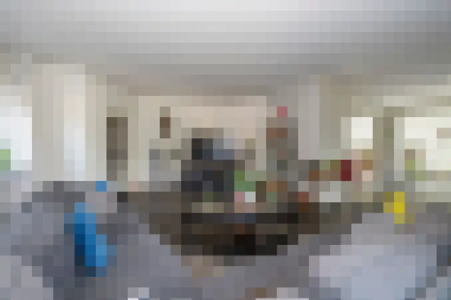Bevert 64 Vroomshoop thumbnail 39