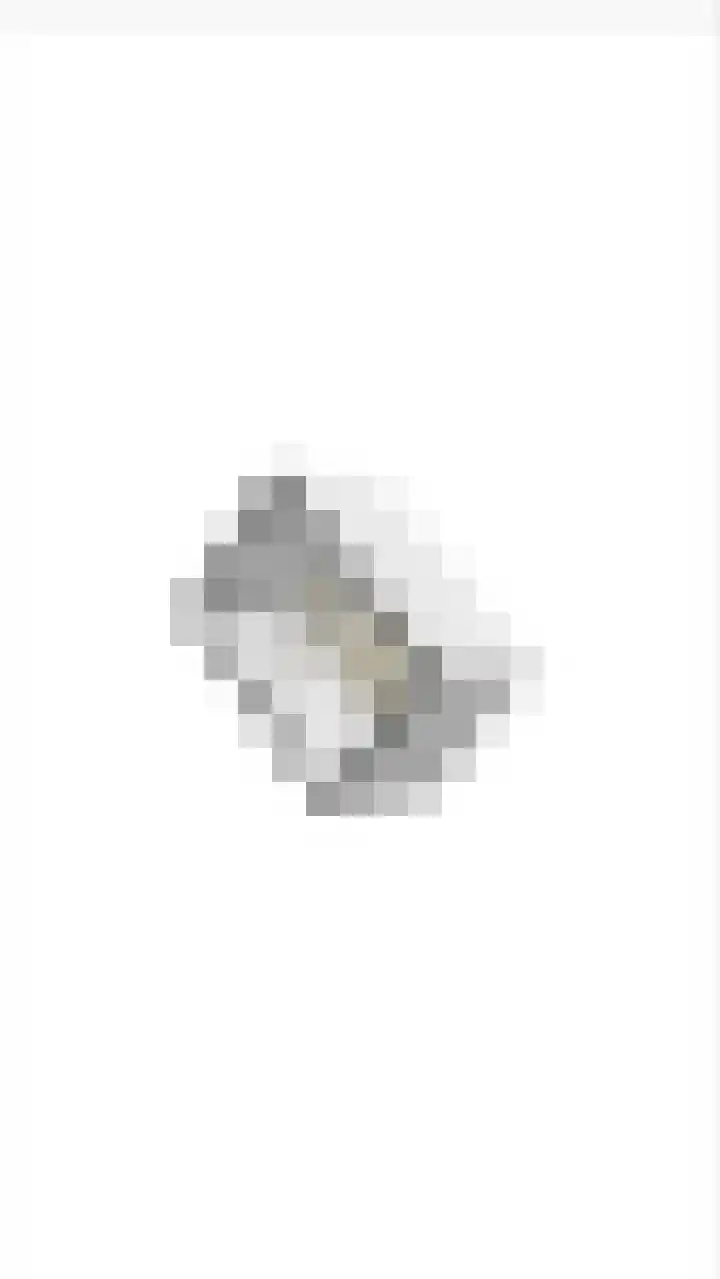 Bevert 64 Vroomshoop thumbnail 39