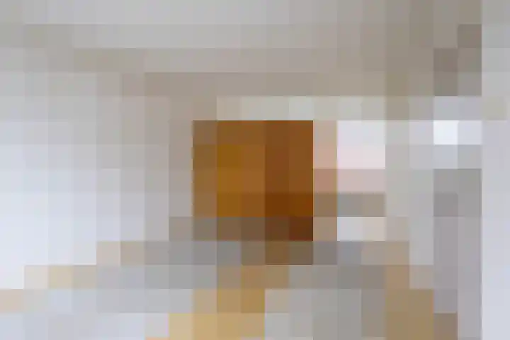 Bevert 64 Vroomshoop thumbnail 8