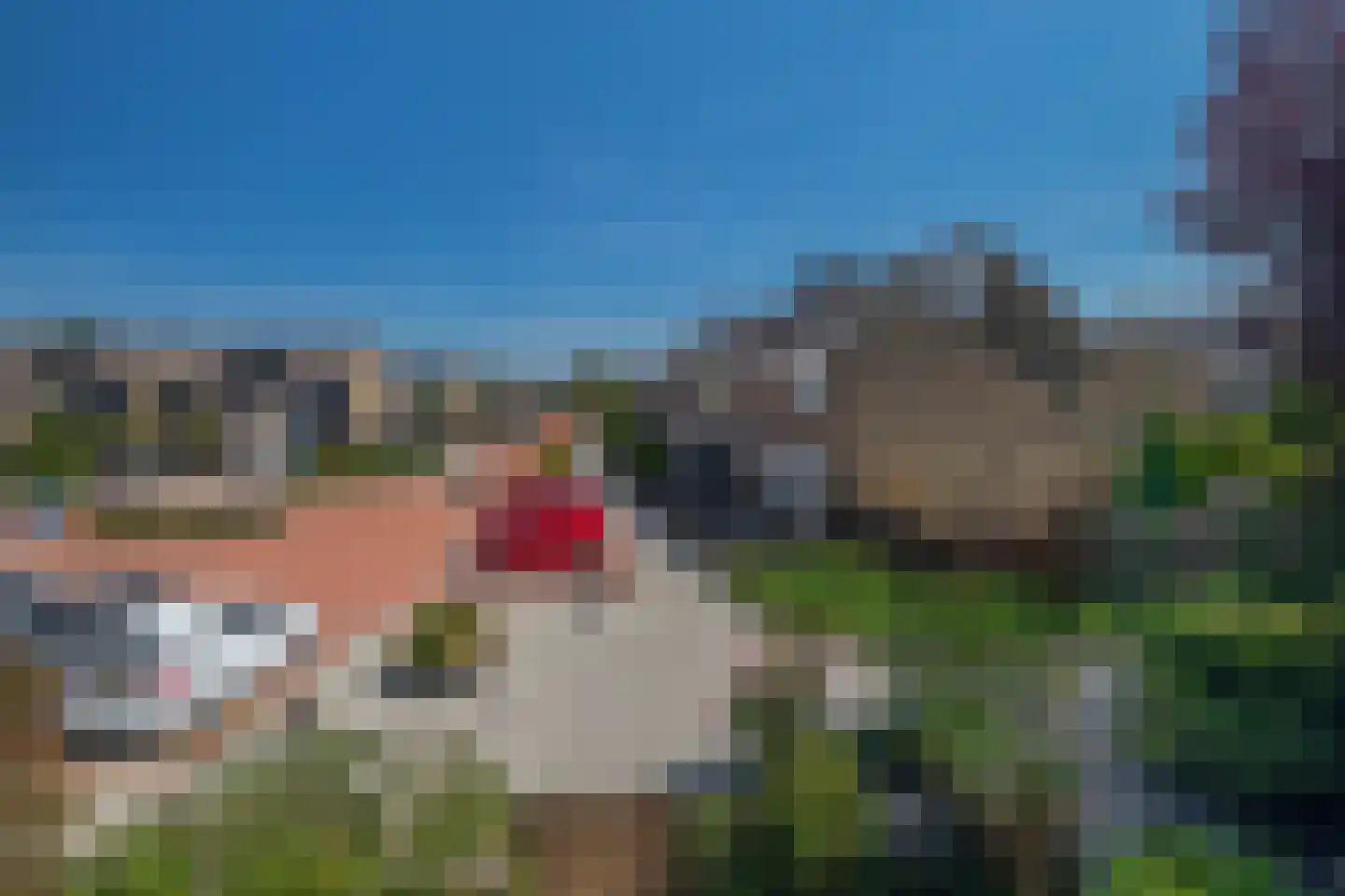 Beverveen 260 Spijkenisse thumbnail 46
