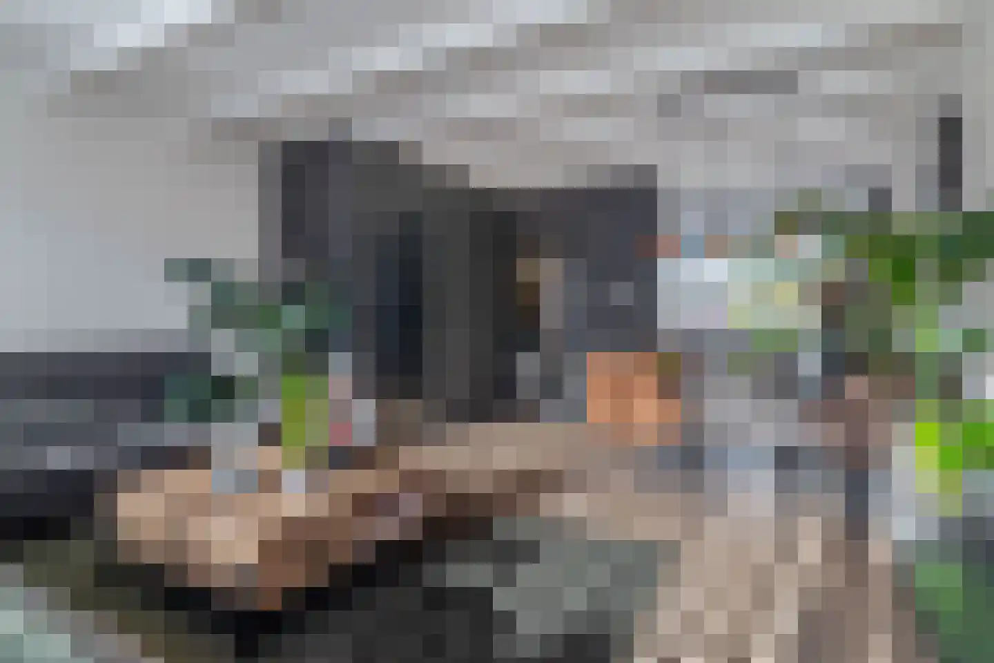 Beverveen 403 Spijkenisse thumbnail 12