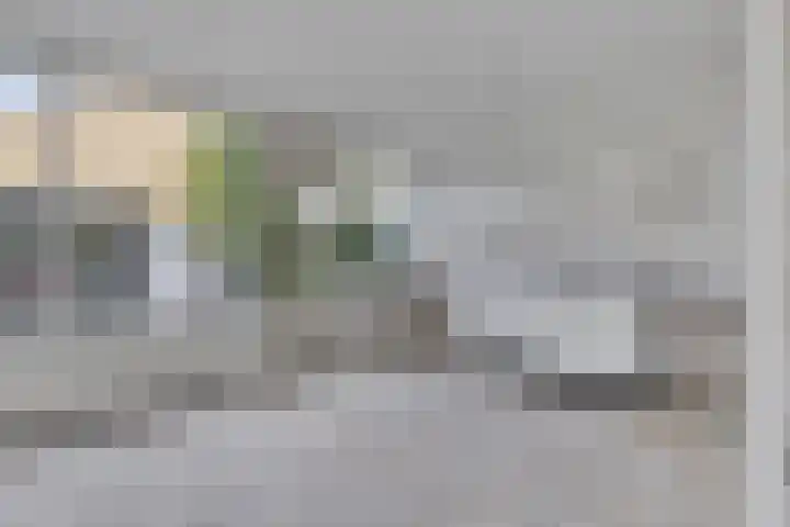Beverveen 414 Spijkenisse thumbnail 10