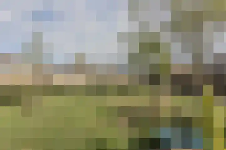 Beverveen 494 Spijkenisse thumbnail 35