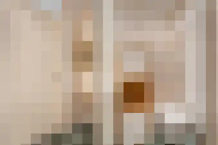 Beverveld 34 Zwolle thumbnail 29
