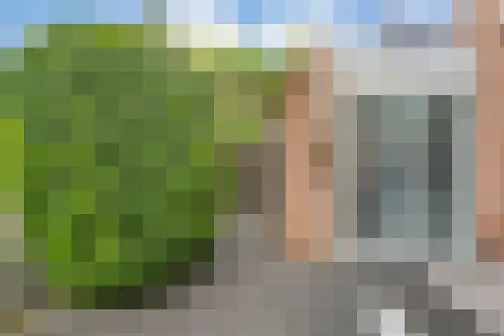 Beverveld 34 Zwolle thumbnail 39