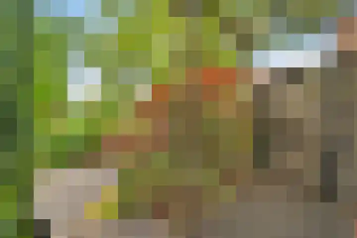Beverveld 34 Zwolle thumbnail 40