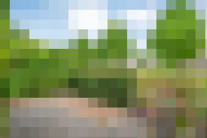 Beverveld 34 Zwolle thumbnail 41