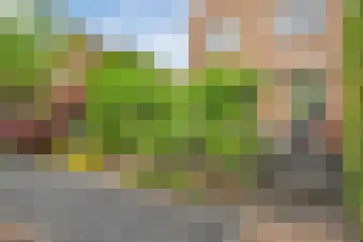 Beverveld 34 Zwolle thumbnail 42